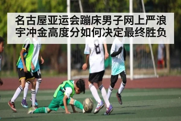 名古屋亚运会蹦床男子网上严浪宇冲金高度分如何决定最终胜负